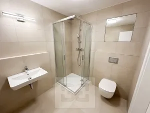 Pronájem bytu 2+kk, Praha - Žižkov, Kaplířova, 53 m2