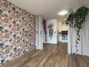 Prodej bytu 2+kk, České Budějovice, U Branišovského lesa, 52 m2
