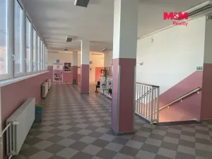 Pronájem obchodního prostoru, Most, Topolová, 48 m2