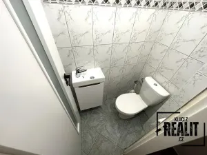 Pronájem bytu 1+kk, Praha - Žižkov, Seifertova, 50 m2