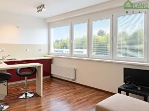Pronájem bytu 1+kk, Brno, Vídeňská, 28 m2