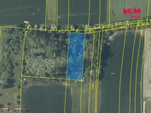 Prodej lesa, Nové Strašecí, 5970 m2