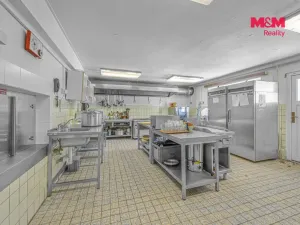 Prodej ubytování, Deštné v Orlických horách, 1200 m2