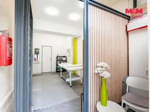 Pronájem obchodního prostoru, Šumperk, Temenická, 24 m2