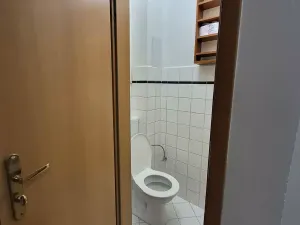 Pronájem bytu 2+1, Praha - Holešovice, V háji, 51 m2