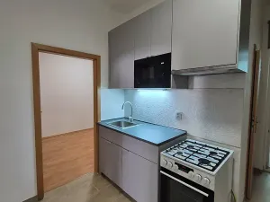 Pronájem bytu 2+1, Praha - Holešovice, V háji, 51 m2