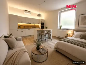 Pronájem bytu 1+kk, Ploskovice, 50 m2