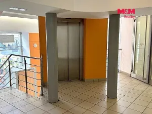 Pronájem obchodního prostoru, Brno - Brno-město, Masarykova, 30 m2