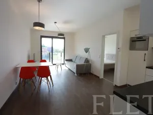 Pronájem bytu 2+kk, Praha - Karlín, U Mlýnského kanálu, 57 m2