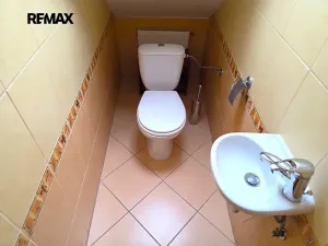 Prodej rodinného domu, Heršpice, 309 m2