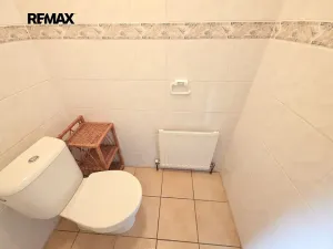 Prodej rodinného domu, Heršpice, 309 m2