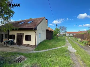 Prodej vinného sklepa, Mikulčice, 84 m2