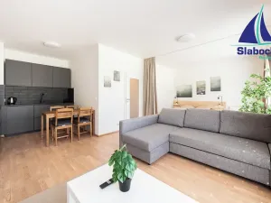 Pronájem bytu 1+kk, Praha - Karlín, Breitfeldova, 45 m2