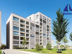 Pronájem bytu 1+kk, Praha - Karlín, Breitfeldova, 63 m2