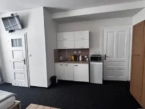 Pronájem bytu 1+kk, Ostrava, Zalužanského, 25 m2