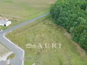 Prodej pozemku pro bydlení, Olešná, 2642 m2