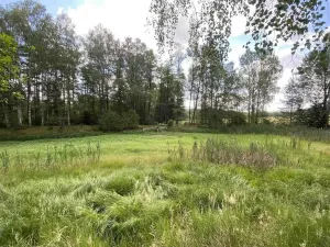 Prodej louky, Trhové Sviny - Otěvěk, 10951 m2
