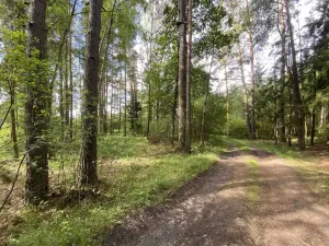 Prodej louky, Trhové Sviny - Otěvěk, 10951 m2