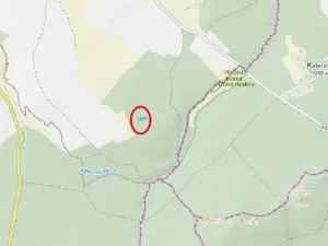 Prodej lesa, Lukavec, 3571 m2
