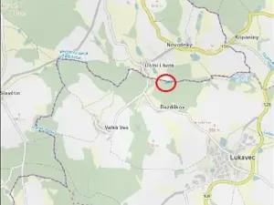 Prodej lesa, Lukavec, 3852 m2