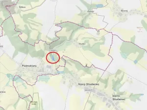 Prodej lesa, Podmoklany, 3057 m2
