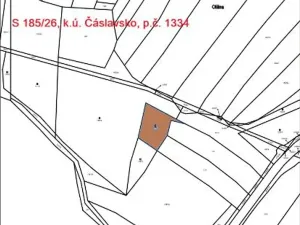 Prodej lesa, Čáslavsko, 1359 m2