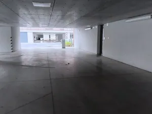 Pronájem ostatní, Plzeň - Východní Předměstí, Kartónová