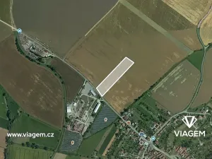 Prodej podílu pole, Šebetov, 6342 m2