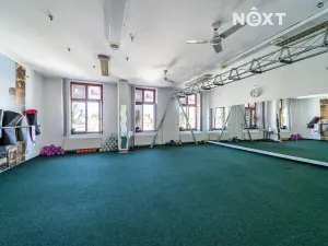 Pronájem obchodního prostoru, Karviná, Masarykovo nám., 165 m2