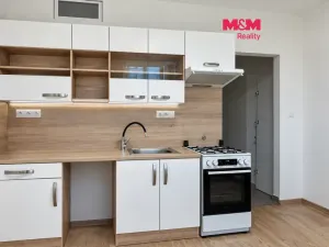 Pronájem bytu 2+1, České Budějovice - České Budějovice 3, Plzeňská, 48 m2