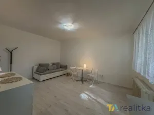 Pronájem bytu 1+kk, Havířov, Družstevnická, 24 m2