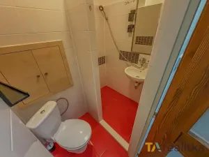 Pronájem bytu 1+kk, Havířov, Družstevnická, 24 m2