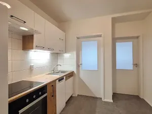 Pronájem bytu 2+kk, Praha - Bubeneč, U zeměpisného ústavu, 46 m2