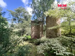 Prodej rybníku, Kostelec nad Černými lesy - Kostelec nad Černými Lesy, 16025 m2