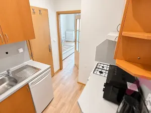 Pronájem bytu 1+kk, Praha - Michle, Brtnická, 30 m2