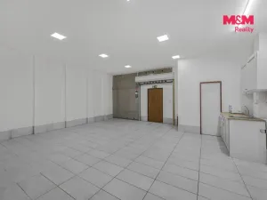 Prodej komerční nemovitosti, Praha, Vlkova, 48 m2