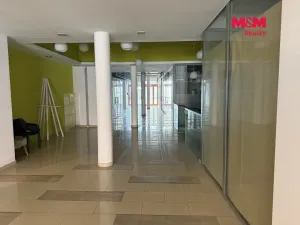 Prodej obchodního prostoru, Hluboká nad Vltavou, Masarykova, 20 m2