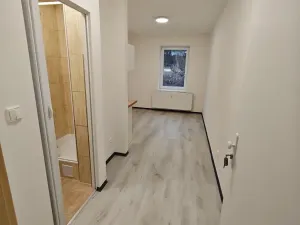 Pronájem bytu 1+kk, Praha - Hlubočepy, Na Zlíchově, 18 m2