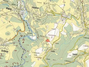 Prodej louky, Zlatá Olešnice, 6018 m2