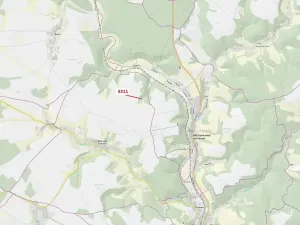 Dražba lesa, Bělá nad Svitavou, 284 m2