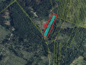 Prodej podílu lesa, Nová Hradečná, 6798 m2