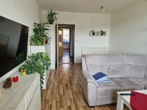 Prodej bytu 2+1, Brno, Ečerova, 64 m2