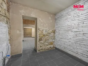 Pronájem komerční nemovitosti, Praha, Seifertova, 100 m2