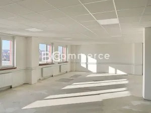 Pronájem skladu, Brno, 880 m2