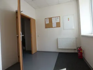 Pronájem bytu 1+kk, Brno, Vídeňská, 30 m2