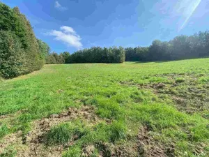 Prodej pozemku, Sobotín, 10593 m2
