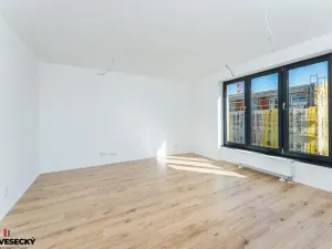 Prodej bytu 1+kk, Plzeň, Železná, 34 m2