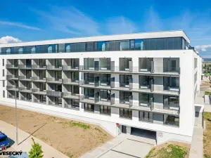Prodej bytu 1+kk, Plzeň, Železná, 34 m2