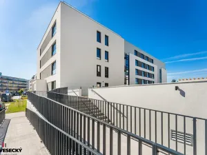 Prodej bytu 1+kk, Plzeň, Železná, 34 m2