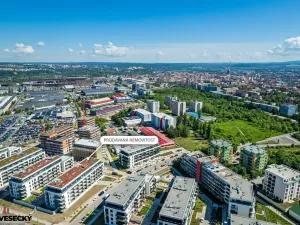 Prodej bytu 1+kk, Plzeň, Železná, 34 m2